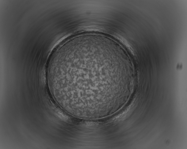 X0000089960782200707131536