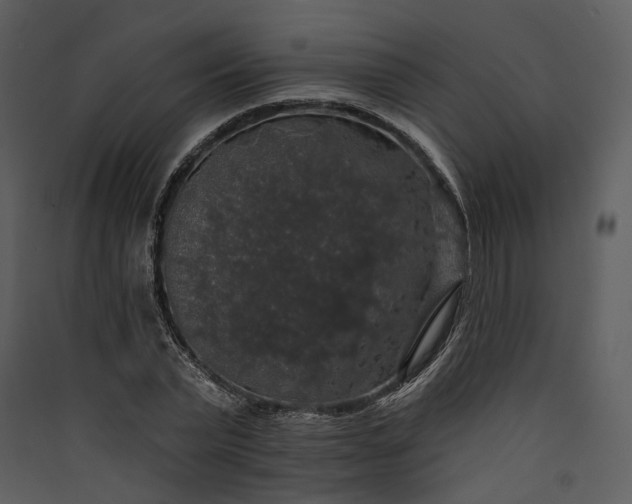 X0000089960783200707131536