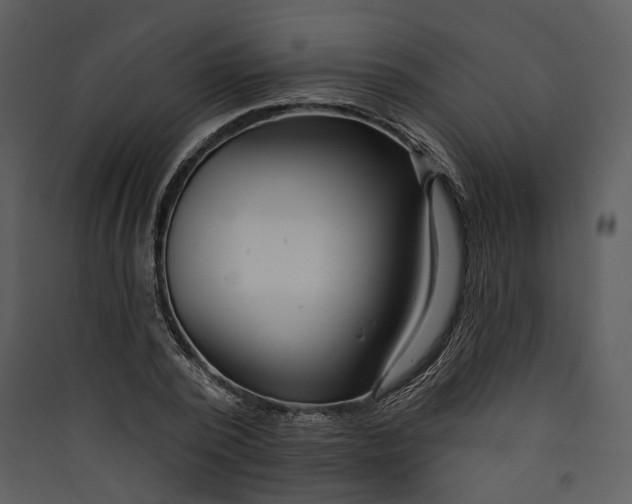 X0000089960784200707131536