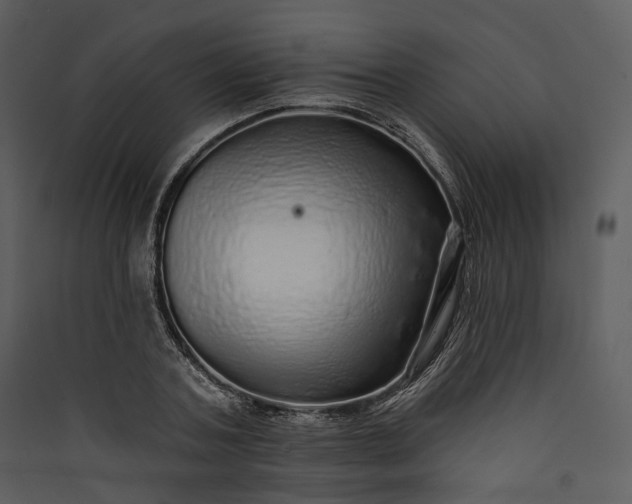 X0000089960787200707131536