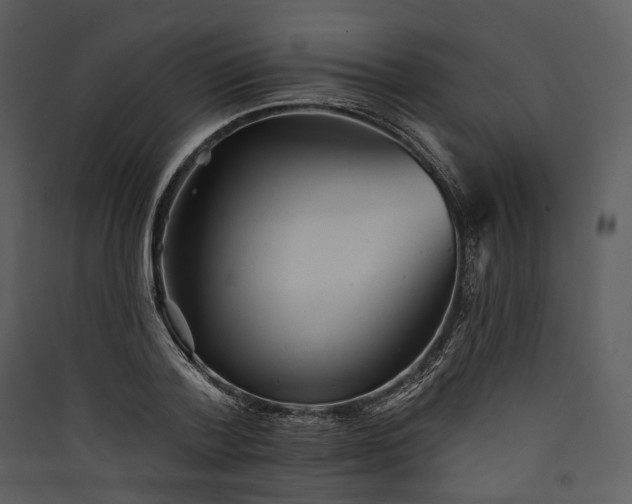 X0000089960788200707131536