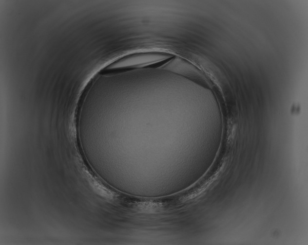 X0000089960789200707131536