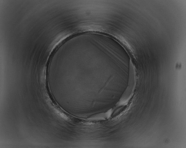 X0000089960790200707131536