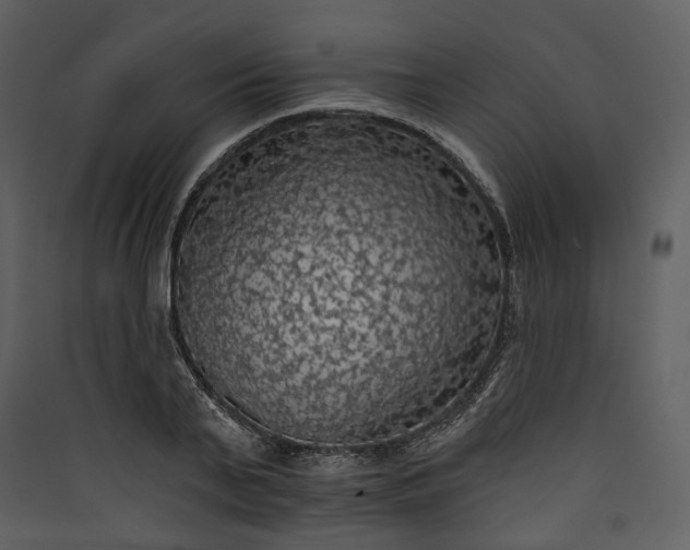 X0000089960791200707131536