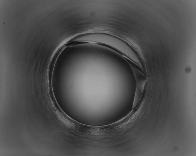 X0000089960792200707131536