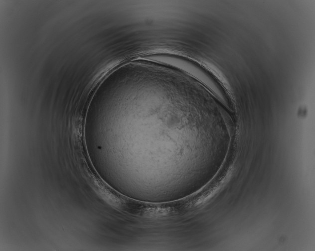 X0000089960793200707131536
