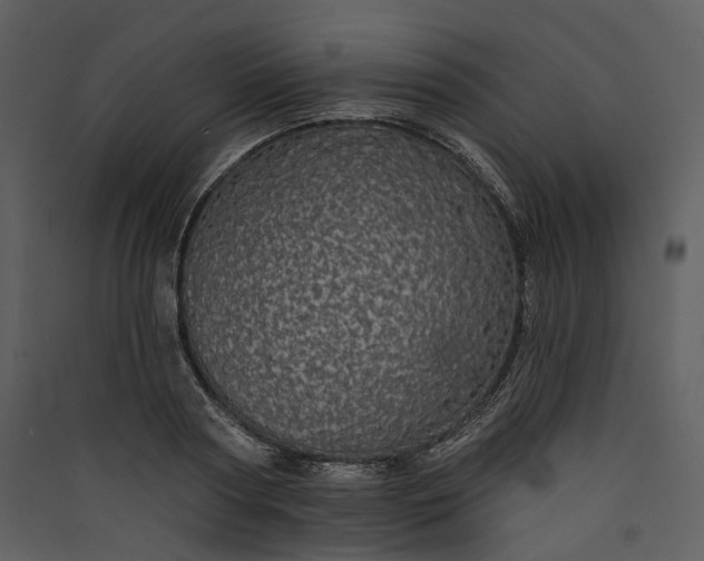 X0000089960794200707131536