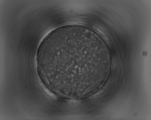 X0000089960796200707131536