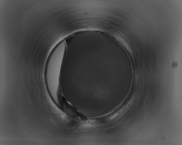 X0000089960797200707131536