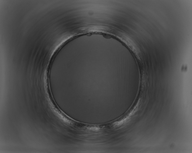 X0000089960798200707131536