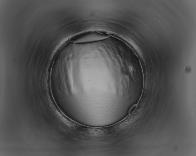 X0000089960799200707131536
