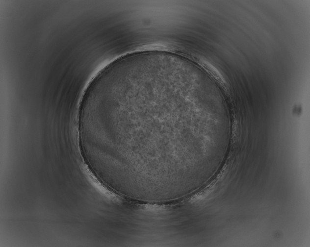 X0000089960800200707131536