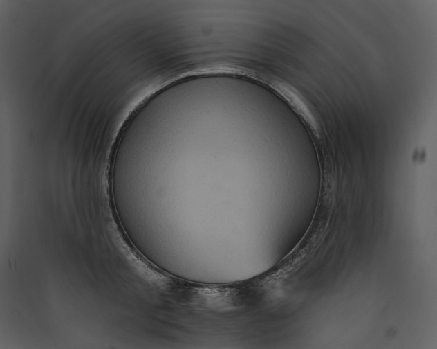 X0000089960805200707131536