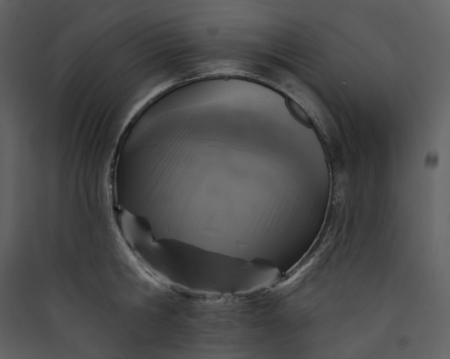 X0000089960806200707131536