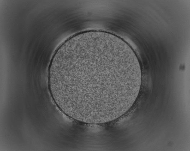 X0000089960807200707131536