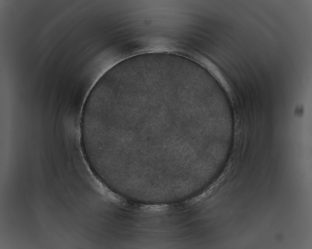 X0000089960810200707131536
