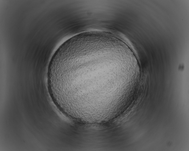 X0000089960811200707131536