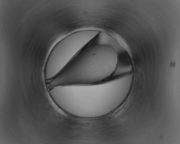 X0000089960813200707131536
