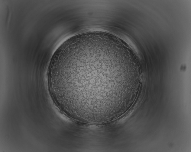 X0000089960814200707131536