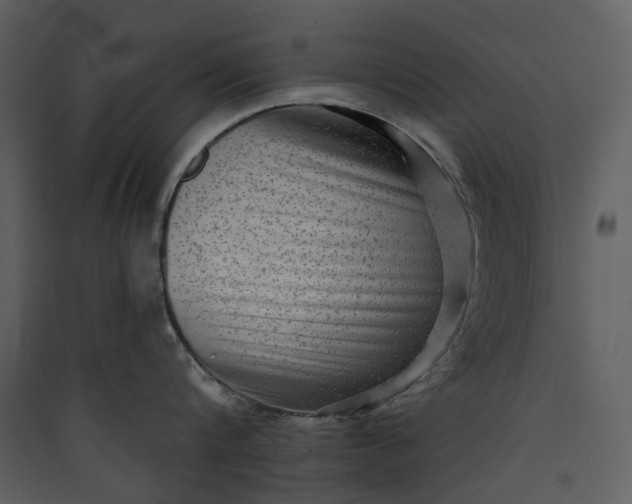 X0000089960816200707131536