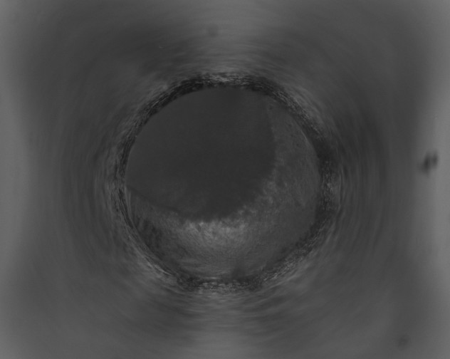 X0000089960817200707131535