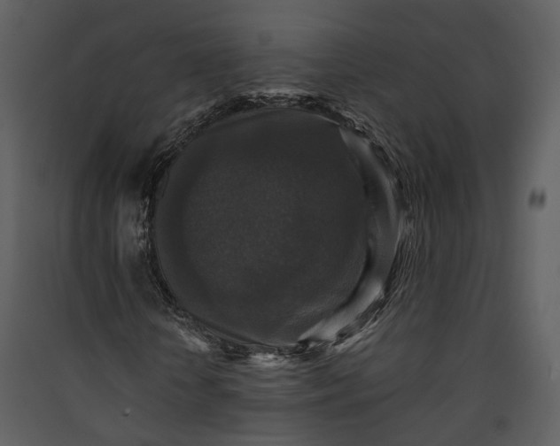 X0000089960818200707131535
