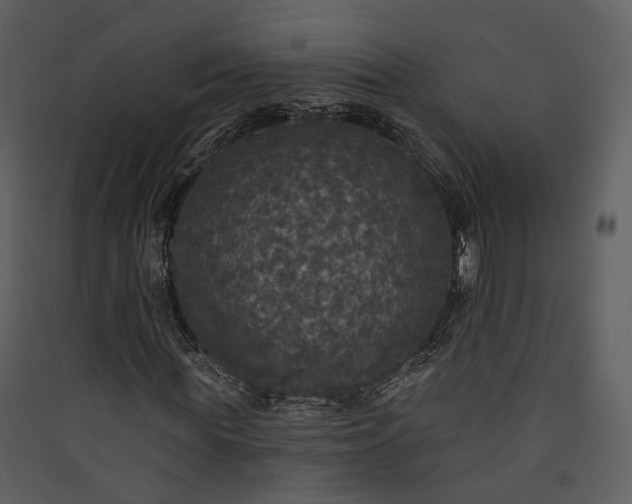 X0000089960819200707131535