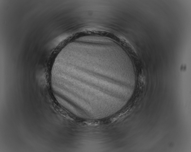 X0000089960822200707131535