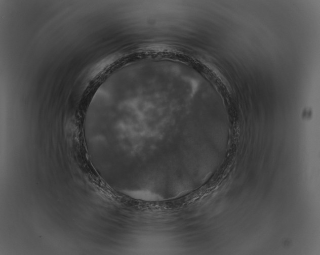 X0000089960823200707131535