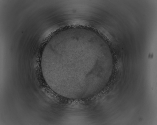X0000089960824200707131535