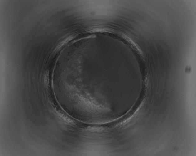 X0000089960825200707131535