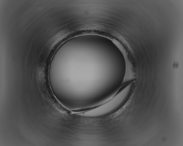 X0000089960826200707131535