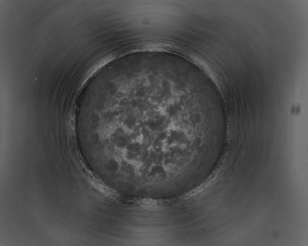 X0000089960827200707131535