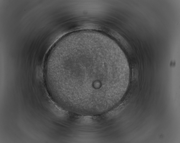 X0000089960828200707131535