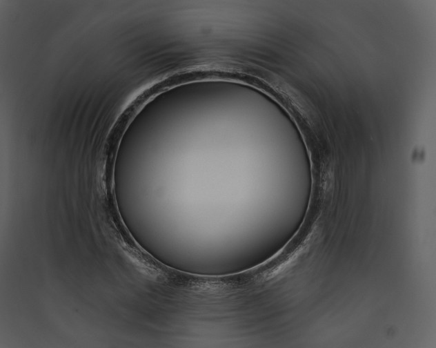 X0000089960830200707131535