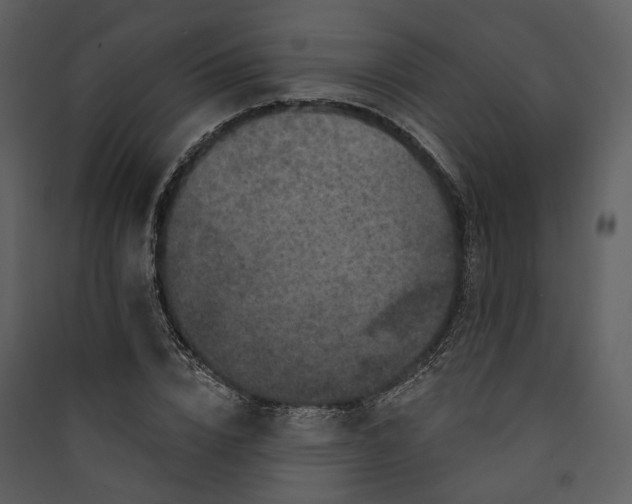 X0000089960832200707131535