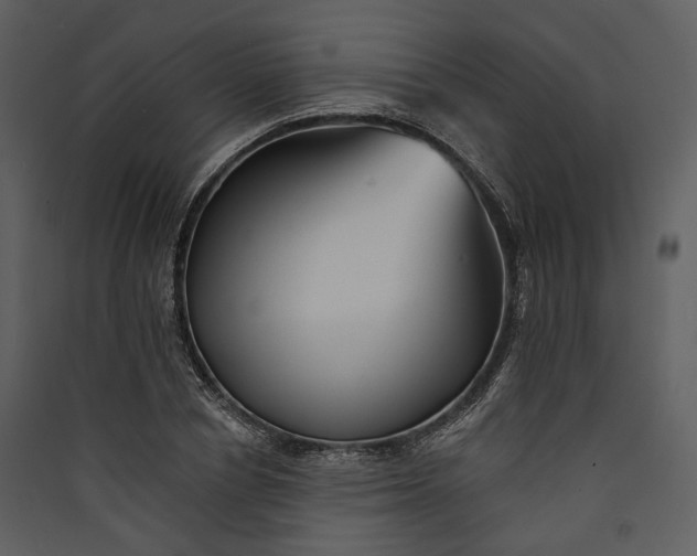 X0000089960834200707131535