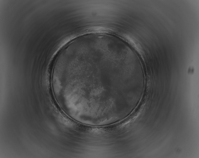 X0000089960835200707131535