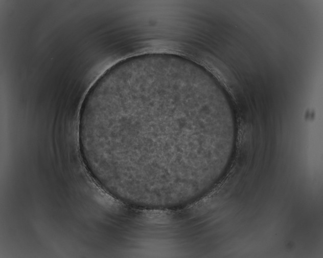 X0000089960836200707131535