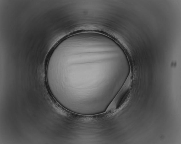 X0000089960837200707131535