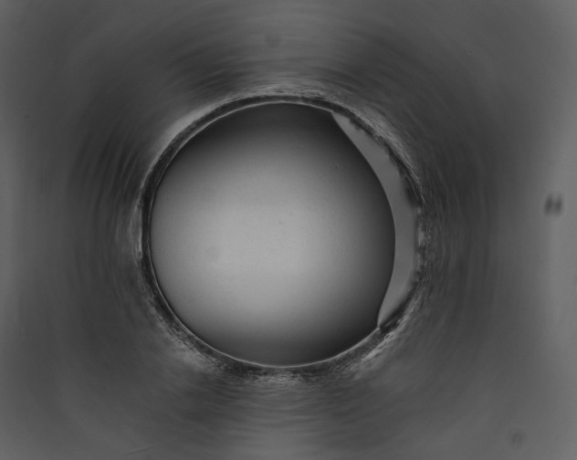 X0000089960838200707131535