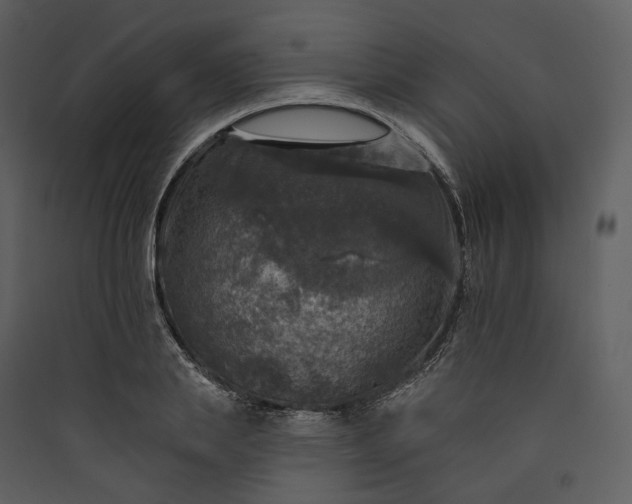 X0000089960839200707131535