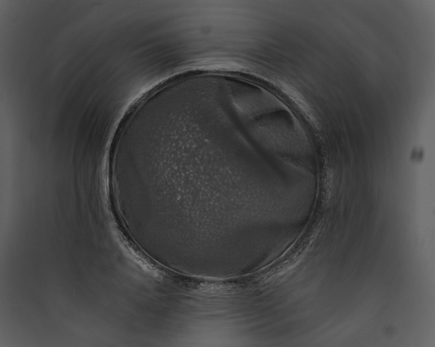 X0000089960840200707131535