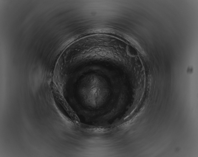 X0000089960841200707131535