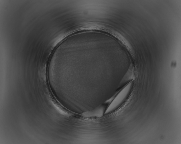X0000089960842200707131535