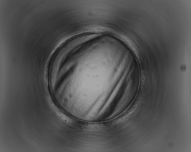 X0000089960843200707131535