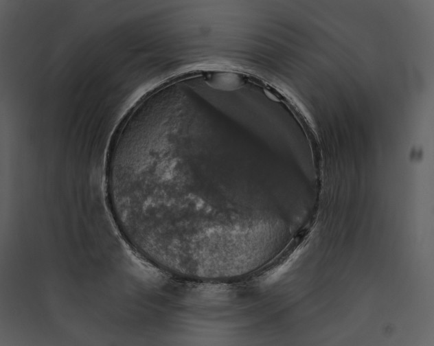 X0000089960845200707131535