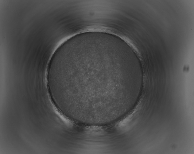 X0000089960846200707131535