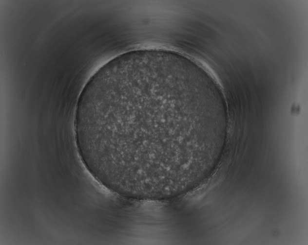 X0000089960847200707131535