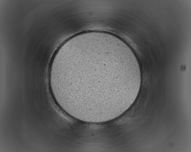 X0000089960848200707131535
